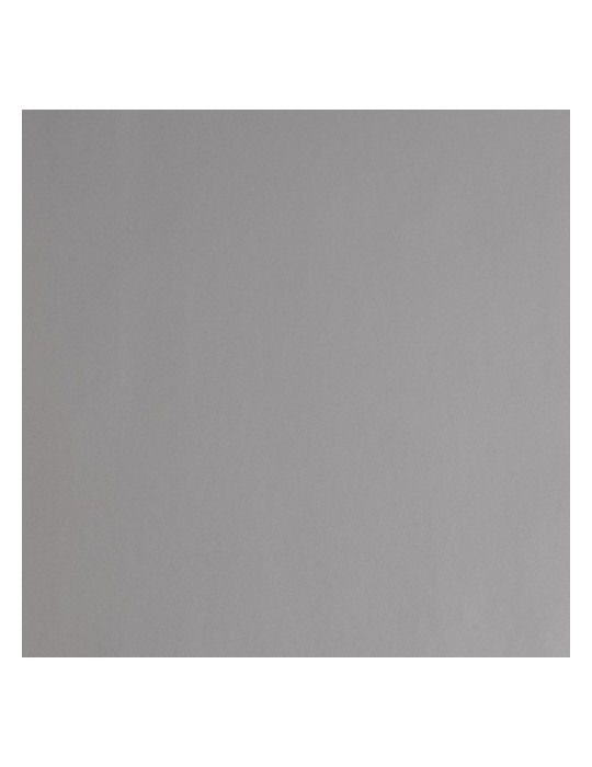 HXS5877B - Argent Brillant